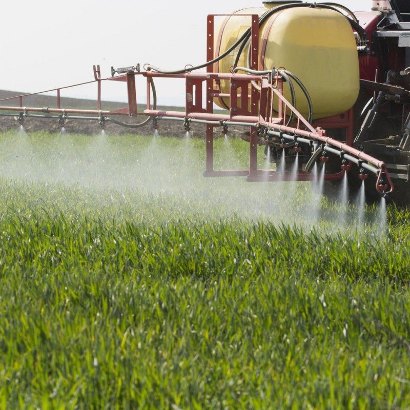 Cómo preparar un caldo fitosanitario. Fitogar.